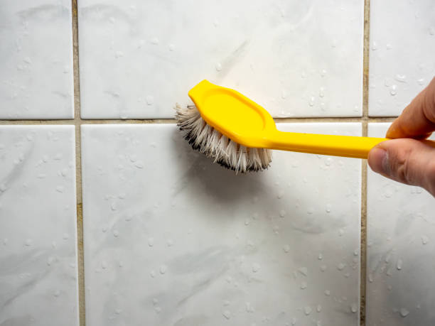 Best Mold Removal Near Me  in Norwich, CT