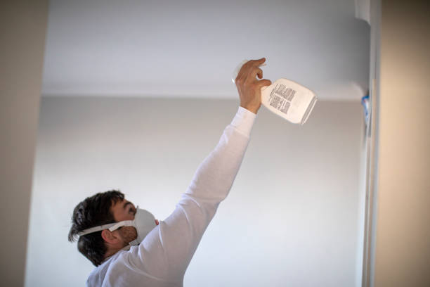 Best Commercial Mold Removal  in Norwich, CT