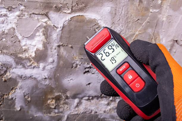 Best Crawl Space Mold Removal  in Norwich, CT