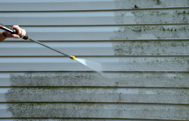 Best Certified Mold Removal  in Norwich, CT