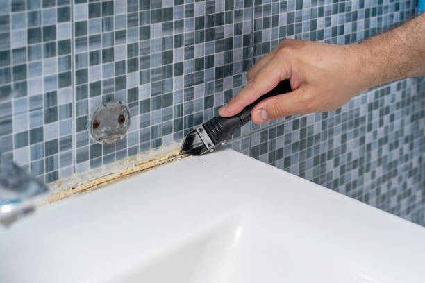 Best Mold Remediation Experts  in Norwich, CT